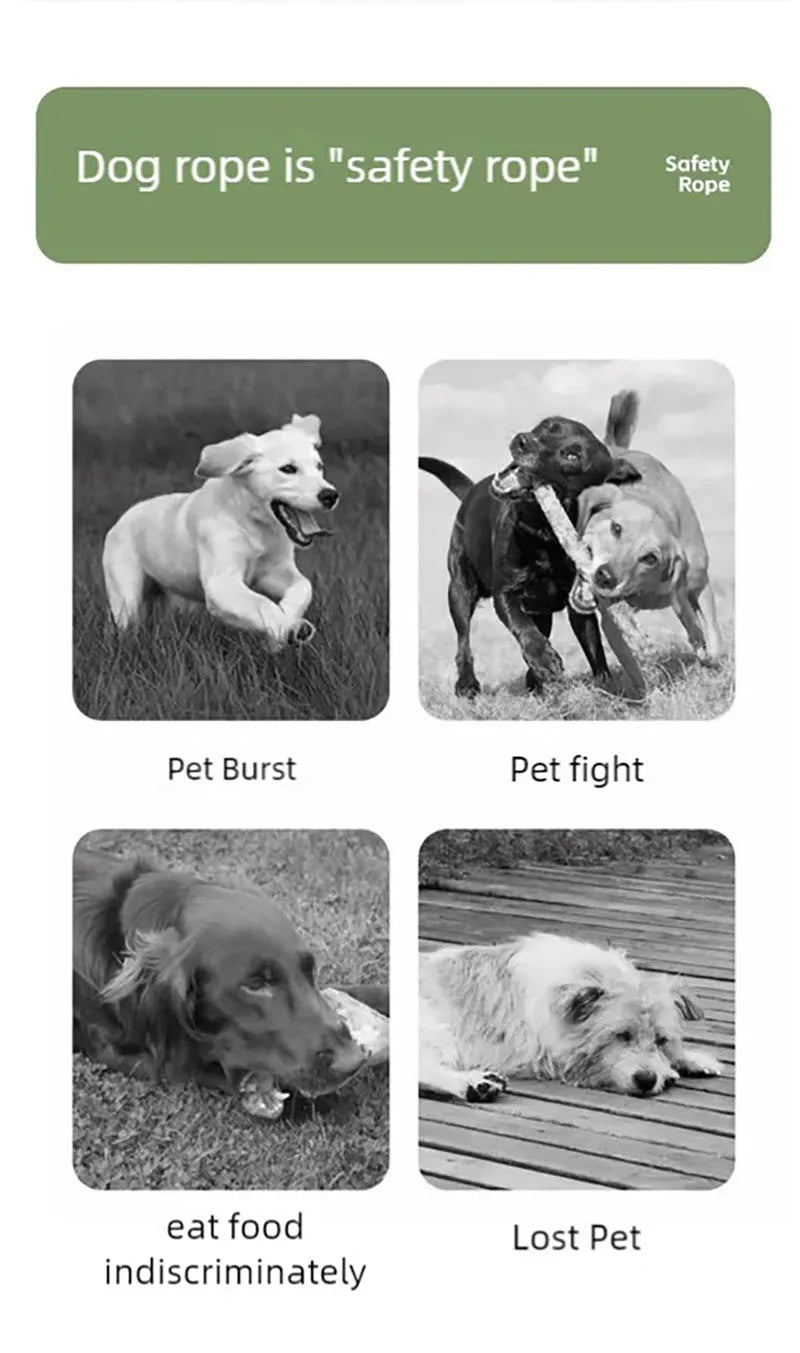 Dog leash, pet walking leash, outdoor dog dopamine contrasting leash, pet supplies