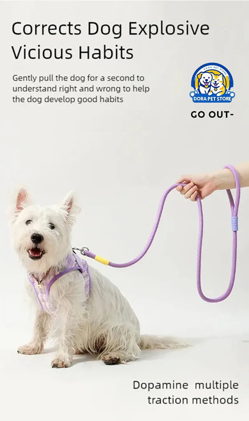 Dog leash, pet walking leash, outdoor dog dopamine contrasting leash, pet supplies